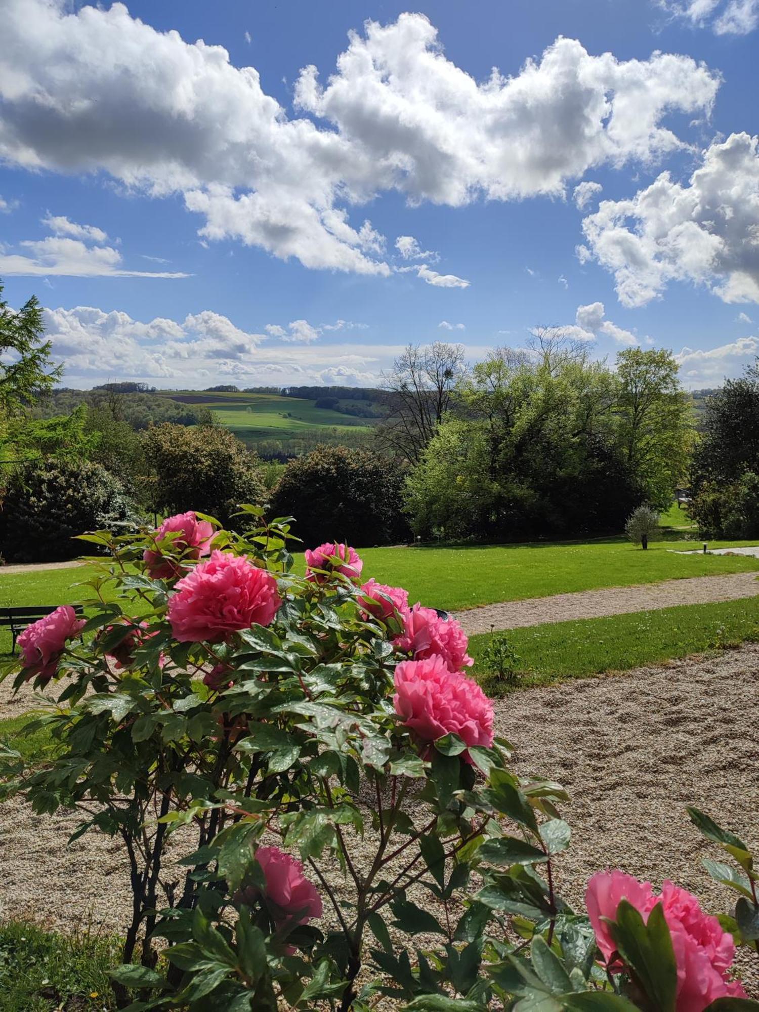 Demeure De La Garenne Bed and Breakfast Montmirail  Exteriör bild