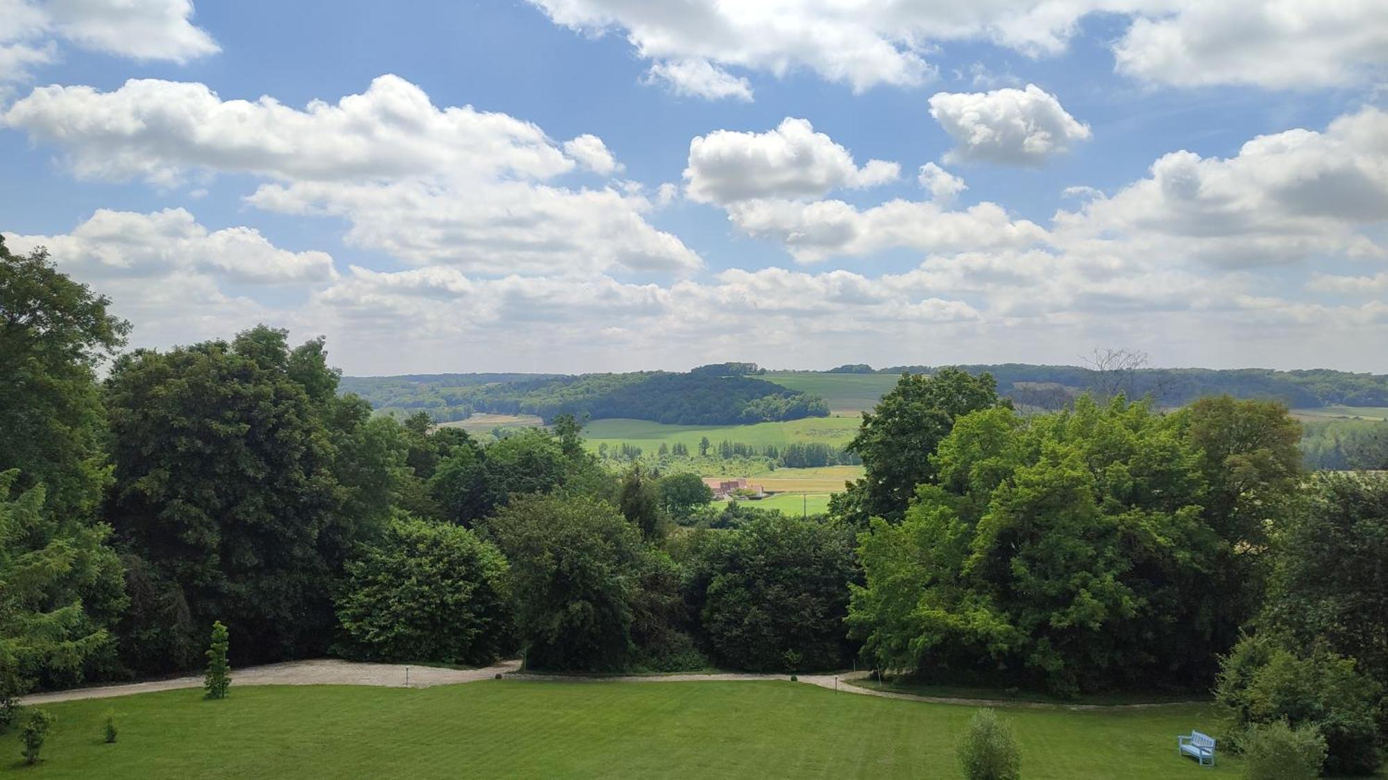 Demeure De La Garenne Bed and Breakfast Montmirail  Exteriör bild